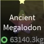 ✨ ANCIENT MEGALODON✨ 