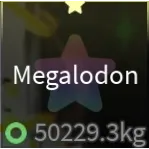 ✨MEGALODON✨ 