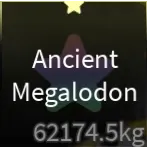 ✨ ANCIENT MEGALODON✨ 