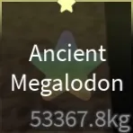 ✨ ANCIENT MEGALODON✨ 