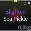 ✨X5 SEA PICKLE✨