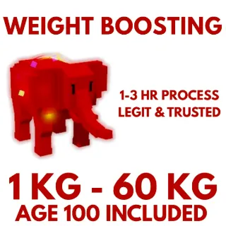 WEIGHT BOOSTING SERVICE 60KG