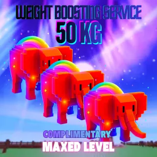 WEIGHT BOOSTING SERVICE 50KG