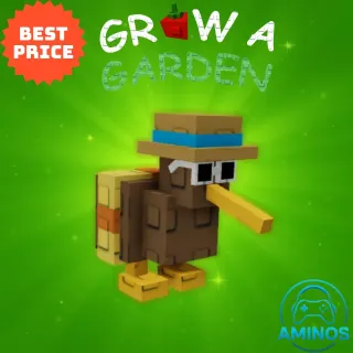 SUMMER KIWI GROW A GARDEN