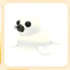 harp seal