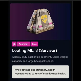 Looting Mk.3 Survivor BP