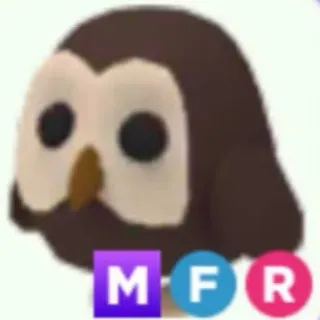 MFR OWL