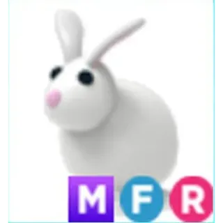 MFR RABBIT