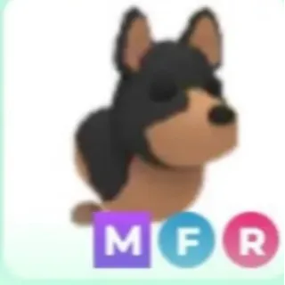 MFR AUSTRALIAN KELPIE