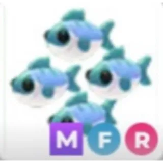 MFR MANY MACKEREL