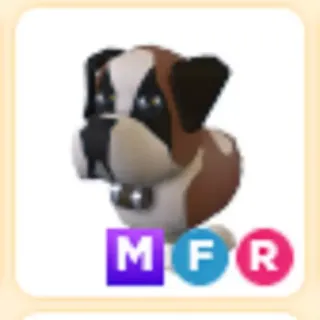 MFR ST BERNARD