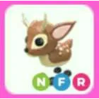 NFR FALLOW DEER