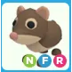 NFR SHREW