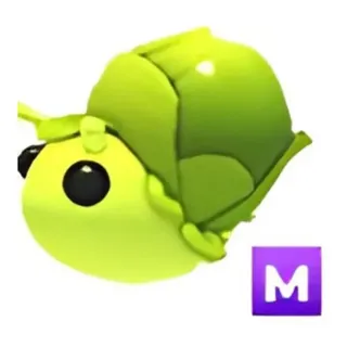 MEGA SPROUT SNAIL