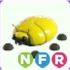 NFR GIANT GOLD SCARAB