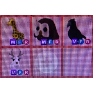 MFR HIGH TIER PET BUNDLE