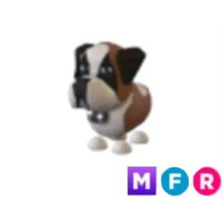 MFR ST BERNARD 