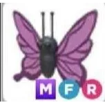 MFR PURPLE BUTTERFLY