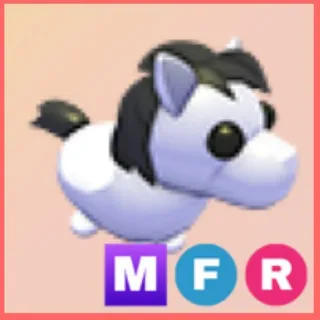 MFR Shetland Pony White 