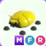 MFR GIANT GOLD SCARAB