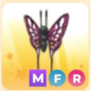 MFR 2022 Uplift Butterfly