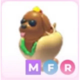 MFR HOT DOGGO