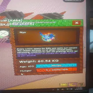Rbh Dilo 60kg