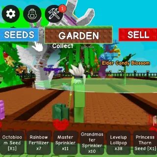 Elder Candy Blossom Account