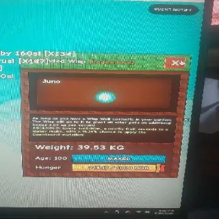 Ascended Wisp