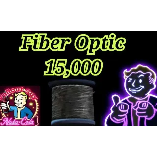 Fiber Optic