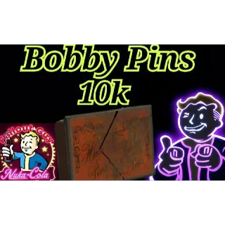 Bobby Pin
