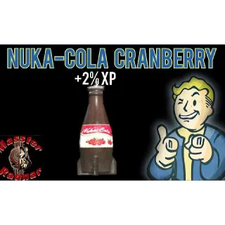 300 Nuka-Cola Cranberry