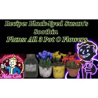 Black-Eyed Susan's Bundl