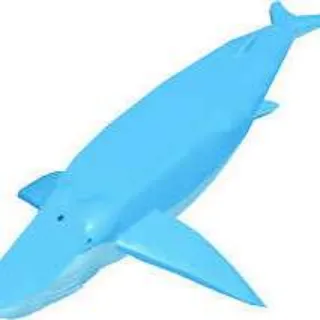 DS Whale