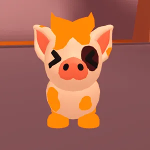 NFR mini pig