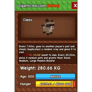 TITANIC GIGANTIC RACCOON