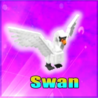 Swan