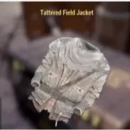 tattered field jacket