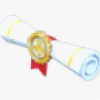 10X PET CERTIFICATE ADM