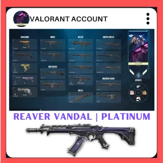 VALORANT ACCOUNT 