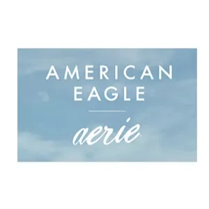 American Eagle gift card $100.00 USD Other