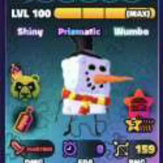 SW Snow Sponge 5s max