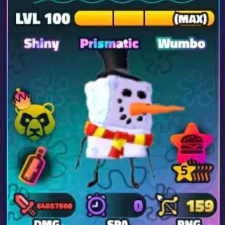 Snow Sponge Sw 5s NC PP