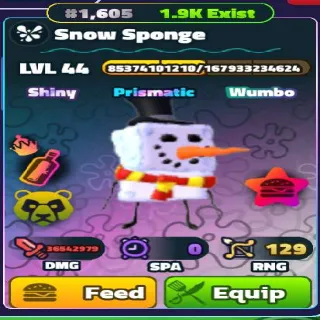 Snow Sponge SW