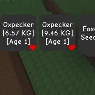 รายการภาพถ่าย