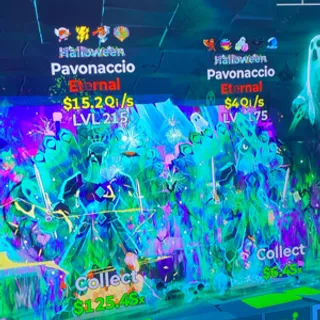 2 Pavonaccio