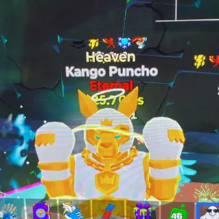 Kango Puncho