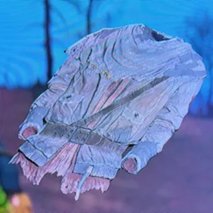 tattered field jacket