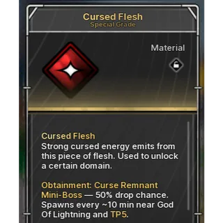 1x Cursed Flesh / Jujutsu Zero