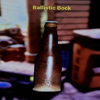 Aid | 10k Ballistic Bock